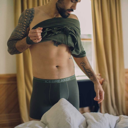 Icebreaker  Anatomica Boxers Loden