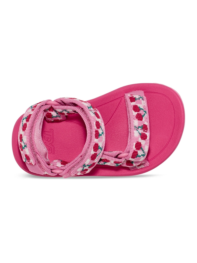 Teva Hurricane XLT 2 Toddler Picnic Cherries Rosebloom/ Bri 1019390T-PCRBW sandalen online bestellen bij Kathmandu Outdoor & Travel