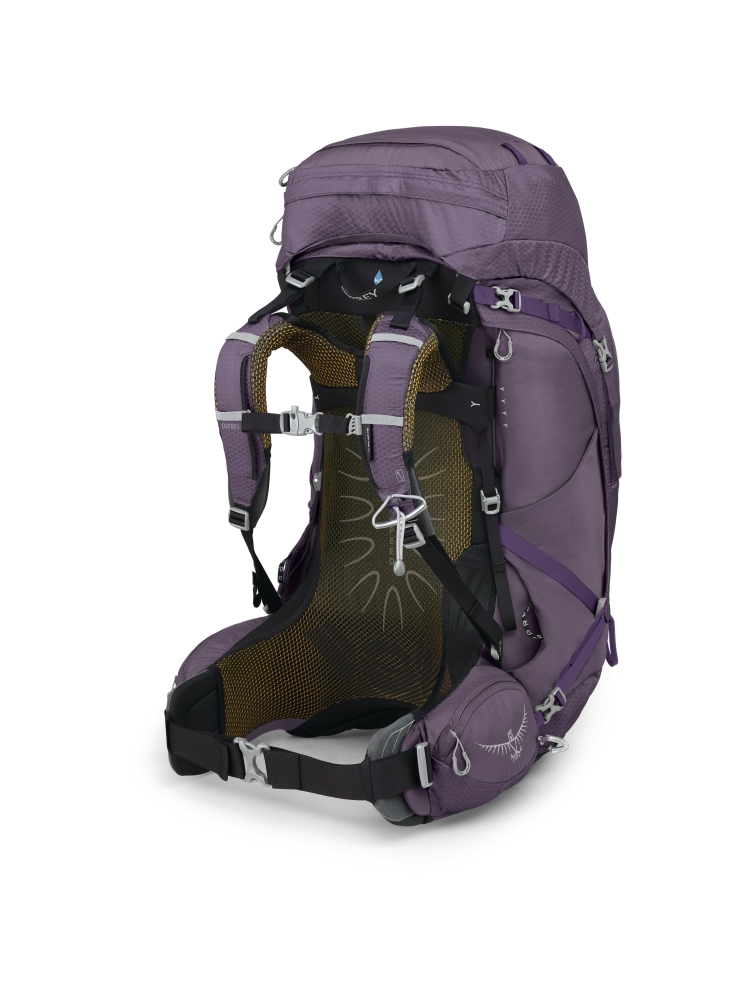 Osprey Aura AG 65 Women's Enchantment Purple 1-177-474 trekkingrugzakken online bestellen bij Kathmandu Outdoor & Travel