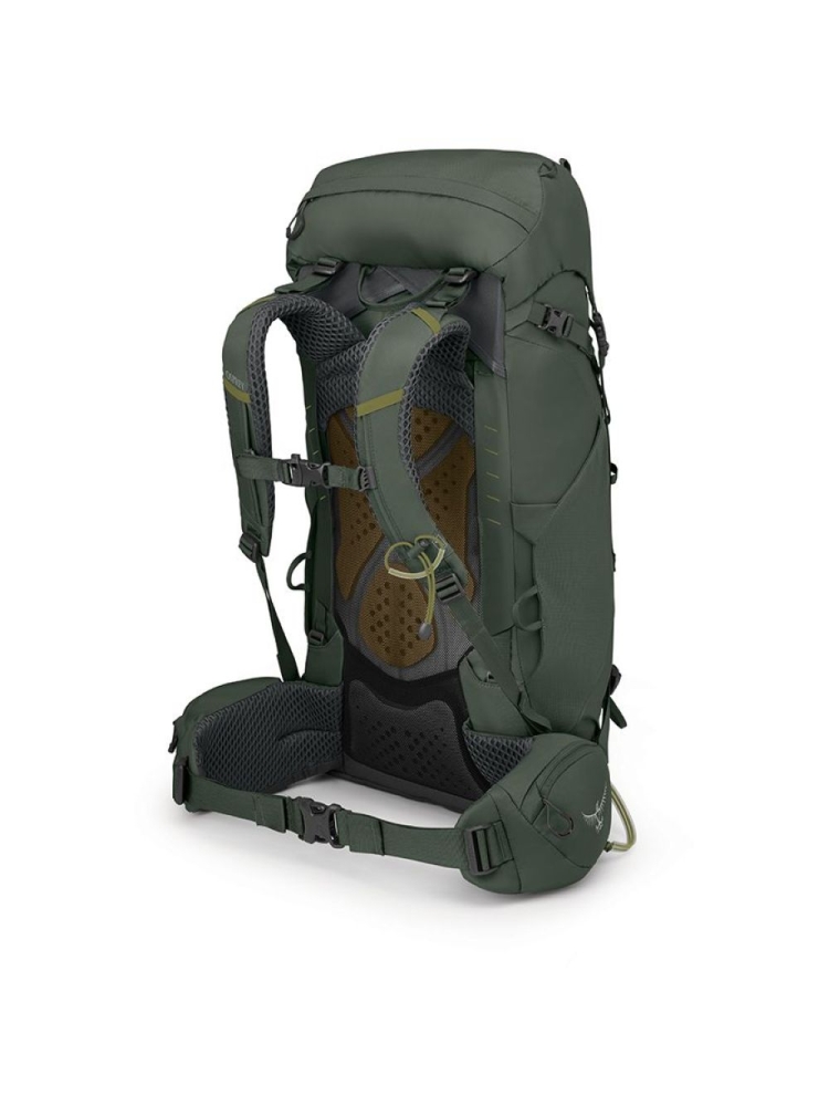 Osprey Kestrel 38 L/XL Bonsai Green 10004769 dagrugzakken online bestellen bij Kathmandu Outdoor & Travel