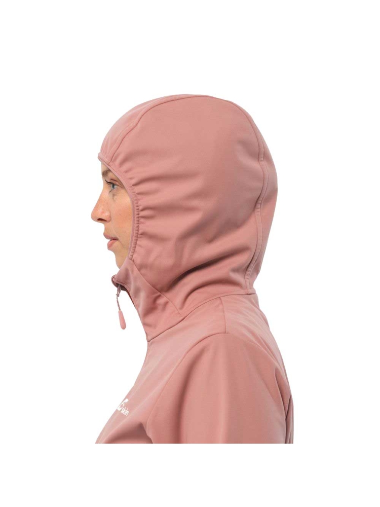 Jack Wolfskin Feldberg Hoody Women's rose dawn 1306863-2919 jassen online bestellen bij Kathmandu Outdoor & Travel
