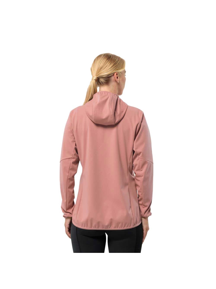 Jack Wolfskin Feldberg Hoody Women's rose dawn 1306863-2919 jassen online bestellen bij Kathmandu Outdoor & Travel