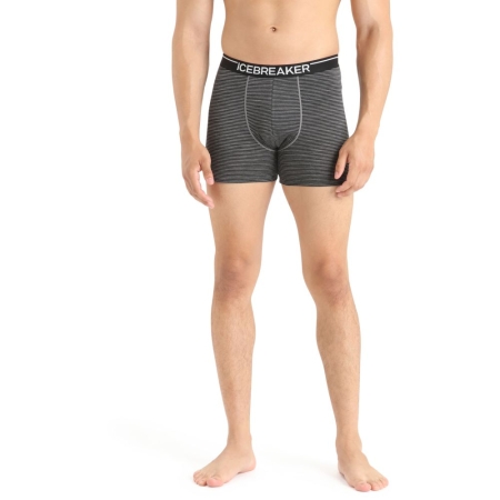 Icebreaker  Anatomica Boxers  Gritstone Hthr/Black/S 