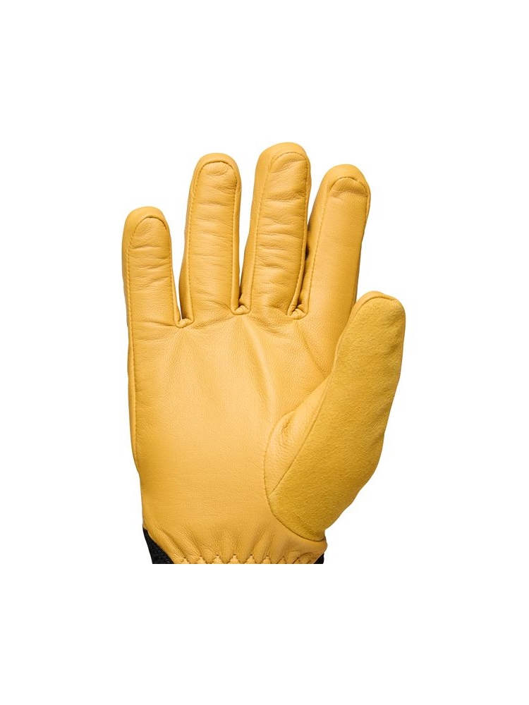 Black Diamond Tour Gloves Beeswax-Black BD801163-9656 kleding accessoires online bestellen bij Kathmandu Outdoor & Travel