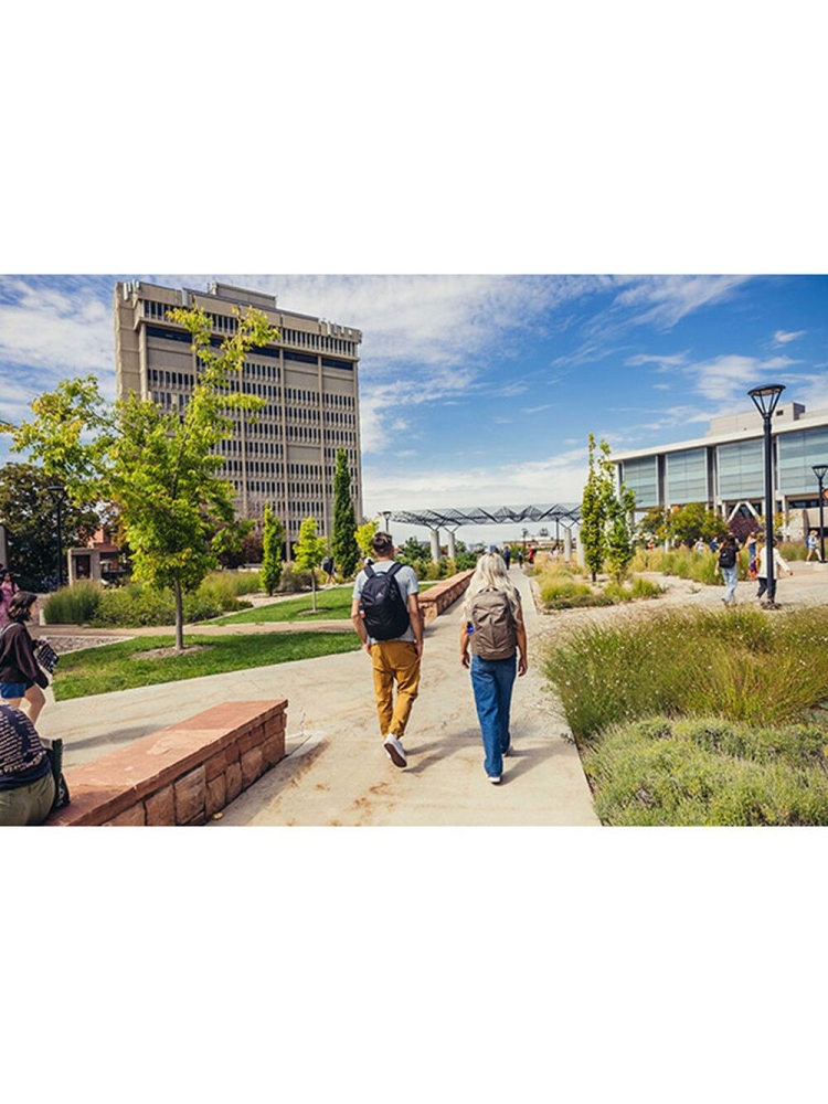 Gregory Retna 20 Mirage Tan 150947-A269 dagrugzakken online bestellen bij Kathmandu Outdoor & Travel